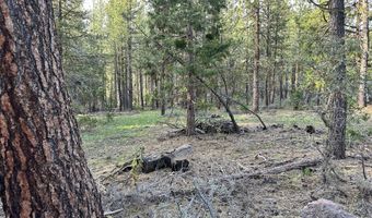 Red Deer Lane Lot 2, Bonanza, OR 97623