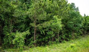 7400 Amon Hill Rd, Bastrop, LA 71220