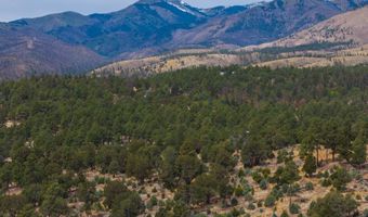 PN TBD BACHE ST & MESITA DR, Alto, NM 88312