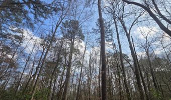 U.S. Highway 51, Bogue Chitto, MS 39629
