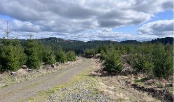 Northrup Creek Rd, Birkenfeld, OR 97016