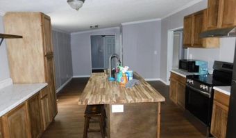 10302 Stage Coach Rd, Baconton, GA 31716