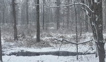 6153 Chandlers Rd, Auburn, KY 42206