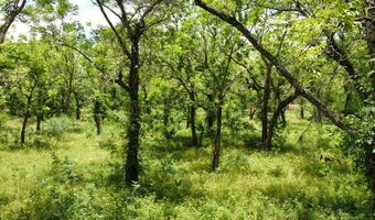 0 JONES RD PVT TX, Angleton, TX 77515