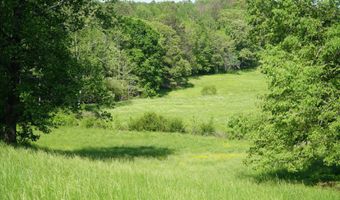 339 MCNUTT Rd, Bear Creek, AL 35543