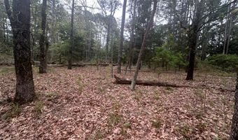 UNIT # 263B KIAMICHI WILDERNESS RD Unit # 63 63, Antlers, OK 74523