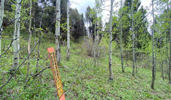 400 GROVER DRY FARM, Afton, WY 83110