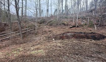 99999 Big Rock Creek Dr, Bakersville, NC 28705