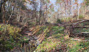 290 Angels Pass Dr Lot 1, Bastian, VA 24314