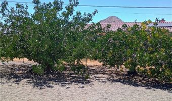 16594 Tenaja Rd, Apple Valley, CA 92307