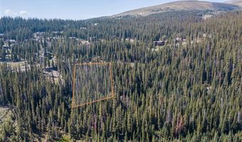 585 COUNTY ROAD 805, Breckenridge, CO 80424