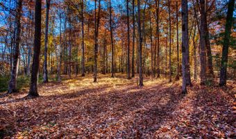 54 E Ridge Rd, Allardt, TN 38504
