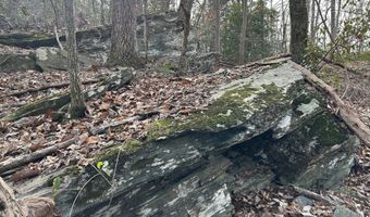 Highway 105, Baldwin, GA 30511