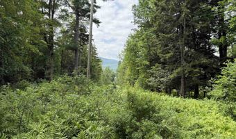 1386 Clif Reynolds Rd, Cambridge, VT 05444