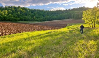 N3953-n3739 Bear Pen Road, Arkansaw, WI 54721