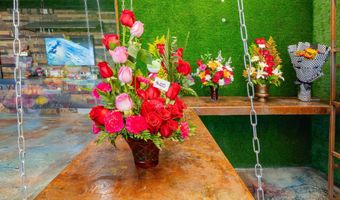 703 E WESTERN Ave, Avondale, AZ 85323