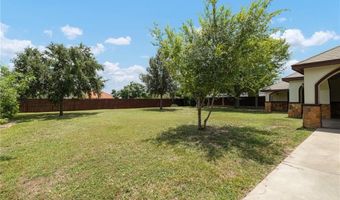 1431 Vida Grande St, Alamo, TX 78516