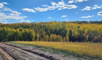 N 4600 E, Ashton, ID 83420