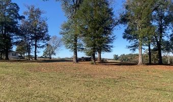 Wynn rd 0 Hwy 51, Ariton, AL 36311