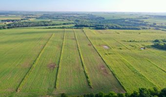 TBD Hwy 14, Allison, IA 50602