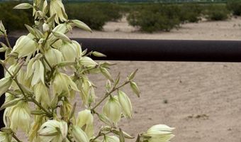 970 Valley Vista Dr, Anthony, NM 88021