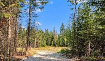 L13B1 Leonard Loop, Athol, ID 83801