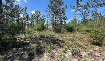 3974 NW Joy Ln, Altha, FL 32421