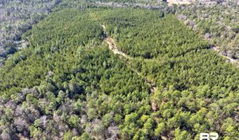 Jones Lane, Bay Minette, AL 36507