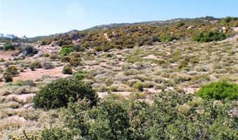 42560 Labrinia Ln, Anza, CA 92539