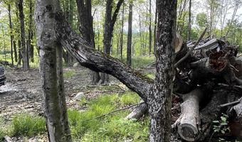 62 Cobb Hill Rd, Alstead, NH 03602