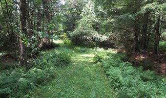 1285 Witchcat Rd, Bakersfield, VT 05441