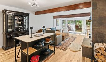 100 N 8th St 19, Aspen, CO 81611
