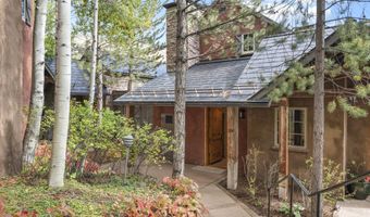 306 Wild Spring Ln, Basalt, CO 81621