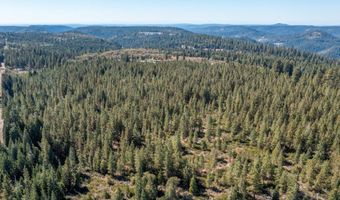 Kearsarge Mill Road, Alta, CA 95701