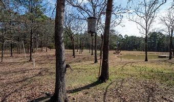 386 NE A, Antlers, OK 74523