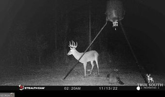 0 John S Horton, Adrian, GA 31002