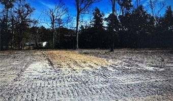 27498 Tract 1-A-C 3-A-D E SHADOW LAKE Dr, Holden, LA 70744