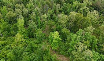 178 Lester Plunk Rd, Bethel Springs, TN 38315