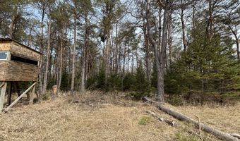 5280 Cathro Rd, Alpena, MI 49707