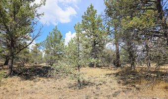 Canvasback Drive 32, Bonanza, OR 97623