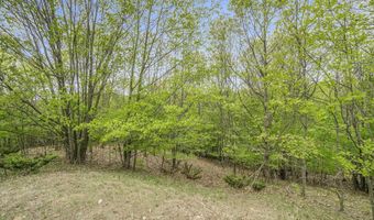 0 Arcadia Ridge Dr, Arcadia, MI 49613