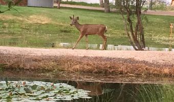 514 E13/14 Sawyer St E13/14, Cascade, ID 83611