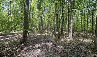 V/L 43.5A 104th Avenue, Allegan, MI 49010