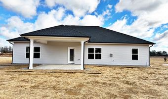 9410 Byron Ct Lot 209, Bailey, NC 27807