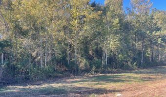 7 3 +- Acres Hwy 84, Ashford, AL 36312
