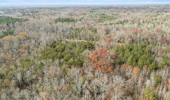 Pearson Road, Belton, SC 29627