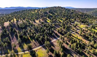 737 Raccoon Ln, Alturas, CA 96101
