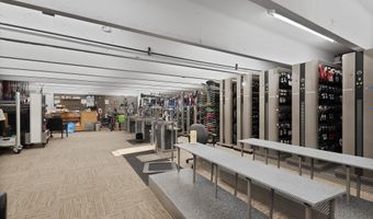 408 E Cooper Ave, Aspen, CO 81611