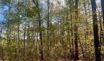 TBD Gill Rd, Brookhaven, MS 39601