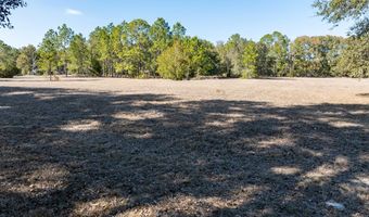 County Road 236 lot 2, Bell, FL 32619